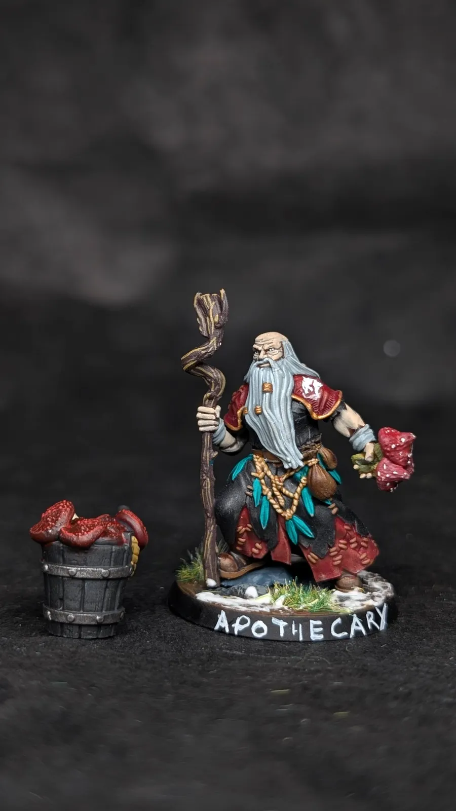 Apothicaire (Norsca), Blood Bowl