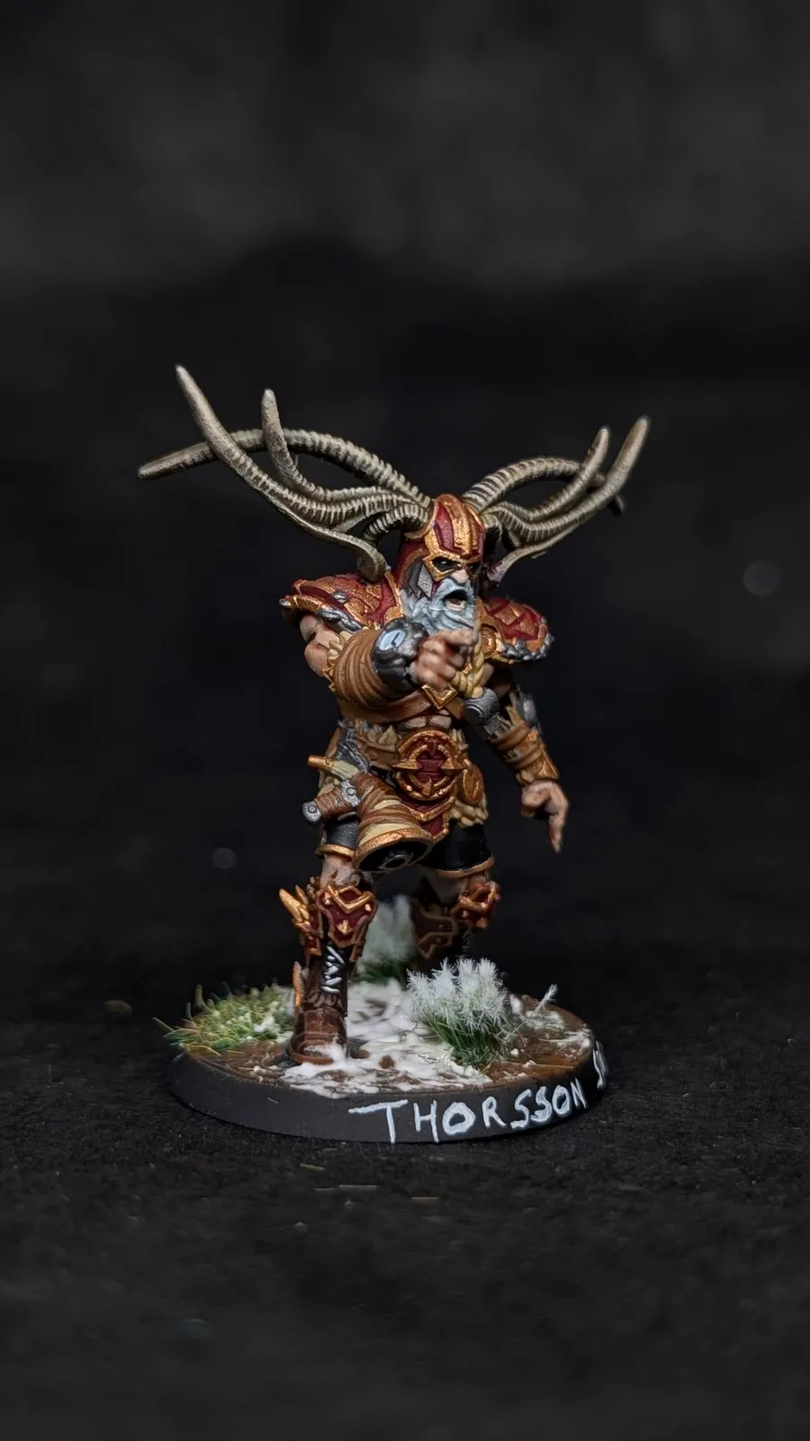 Thorsson Proxy (Norsca), Blood Bowl